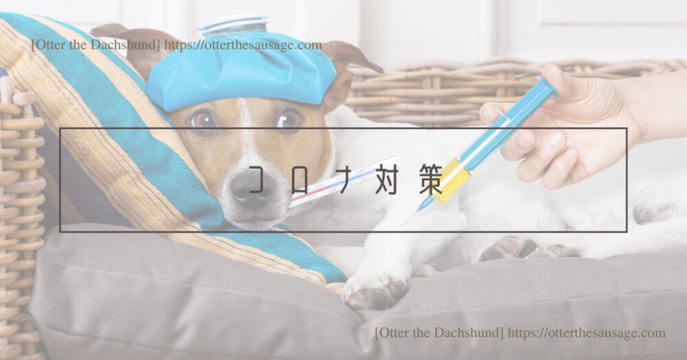 Blog Header image_犬と旅行_犬連れ旅行_pet博横浜2023_コロナ対策